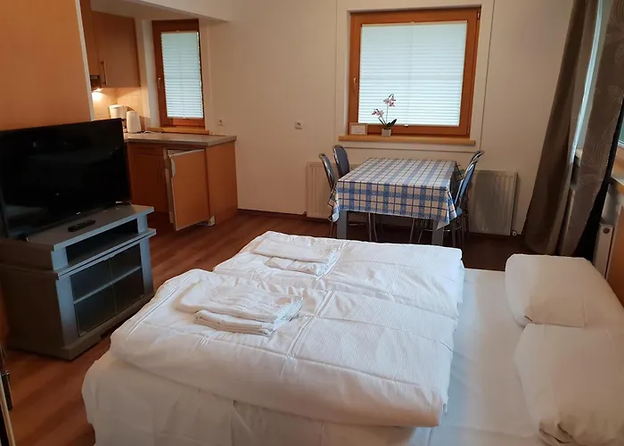 Διαμέρισμα Appartementhaus Zillertal By Piaunddirk Φίνκενμπεργκ