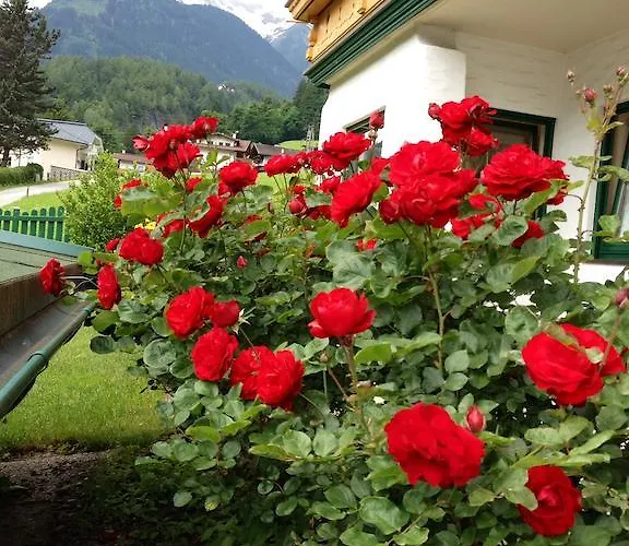 Appartementhaus Zillertal By Piaunddirk