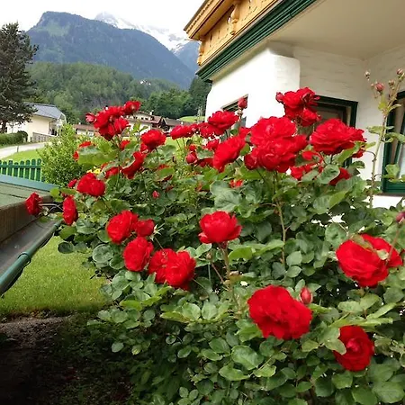 Appartementhaus Zillertal By Piaunddirk