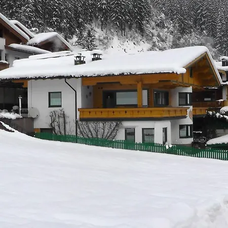 公寓 Appartementhaus Zillertal By Piaunddirk 弗林肯贝格